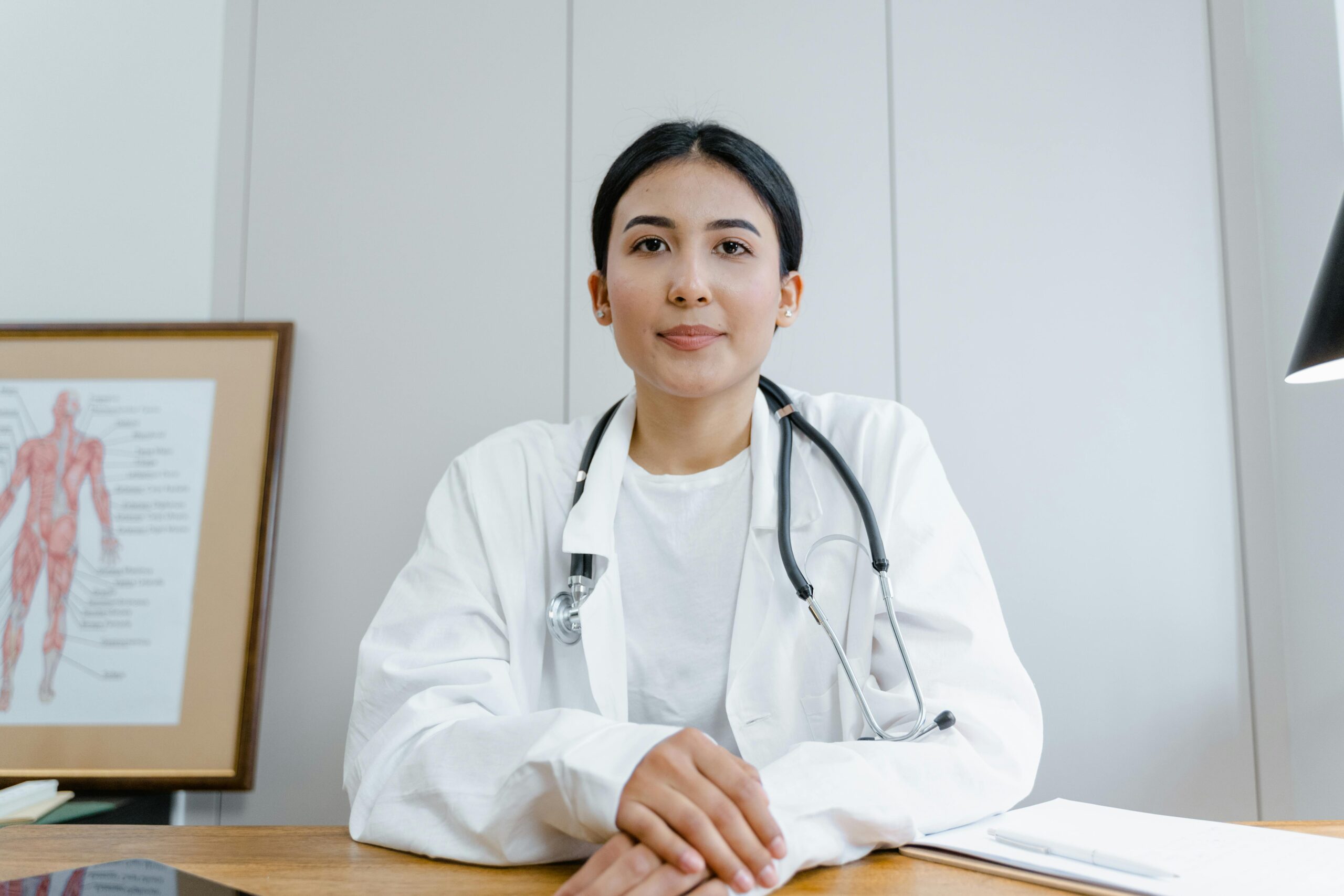 Kostenloses Stock Foto zu anatomie-diagramm, arbeit, arzt